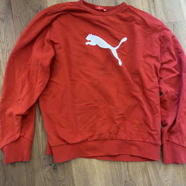 pull Puma