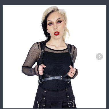Harness NEU