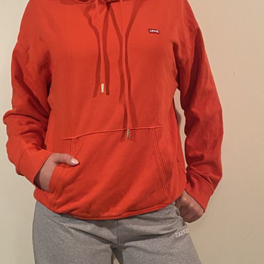 Sweat à capuche Orange Lewis