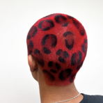traceyhair