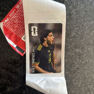 raul jimenez cola panini
