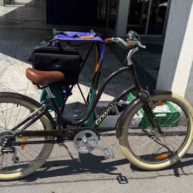 Electra Townie Electric Bike