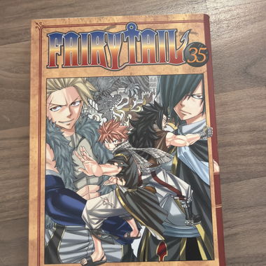 Manga Fairy Tail 35