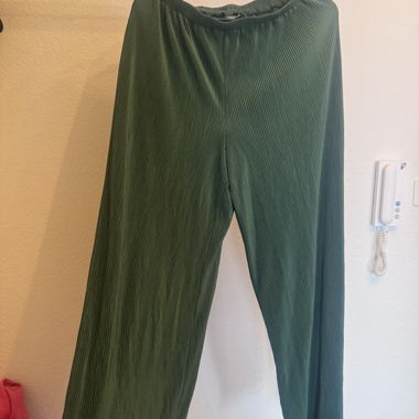 Green Pleated Trousers
