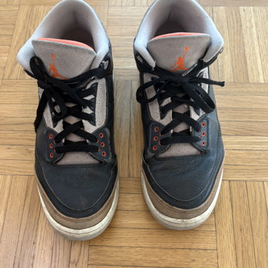 Jordan 3 desert elephant