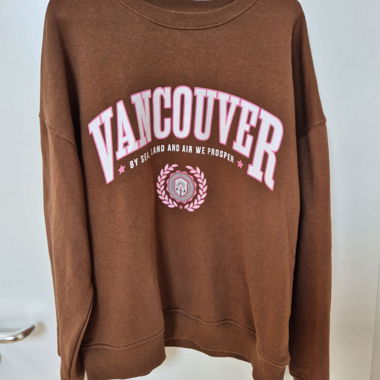 Pullover brun 