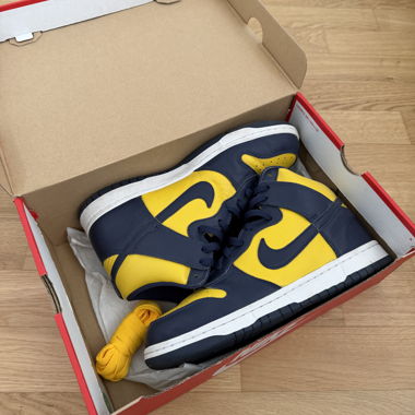 Baskets hautes Nike Dunk Hi SP