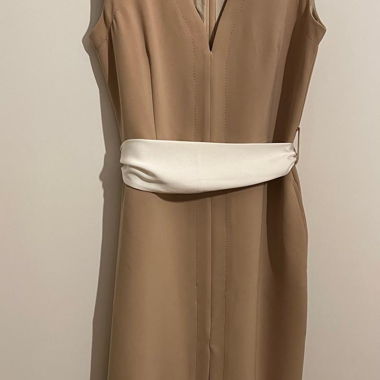 Chic Classic Dress