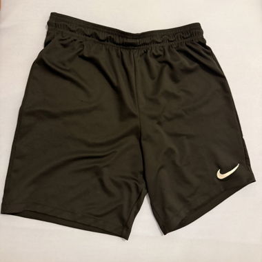 Nike Dri-FIT Shorts