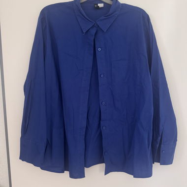 Blue Blouse