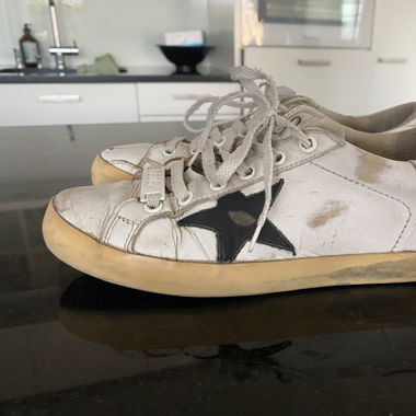 Golden Goose