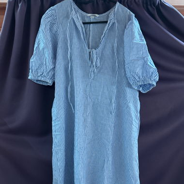Blue dress