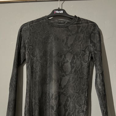 pull transparent crocodile 