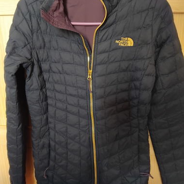 Veste légère Nord Face
