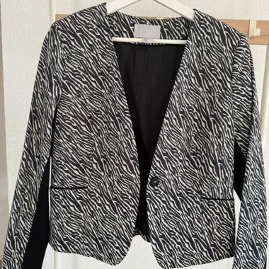 Blazer zebrato H&M