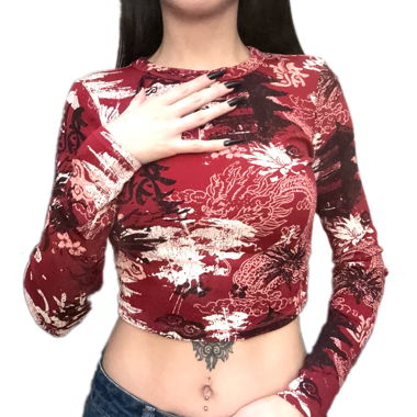 Y2K-Style Dragoncore Crop Top