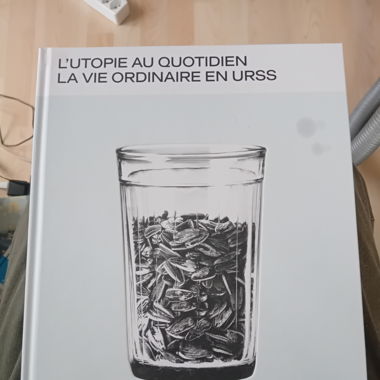 Livre Utopie au quotidien la vie ordinaire en URSS