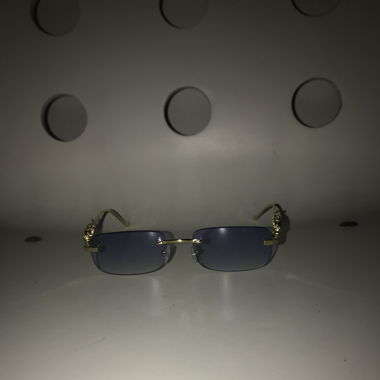 Glasses