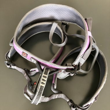 Klettergurt Damen (Mammut)
