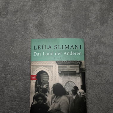 Das Land der Anderen - Roman