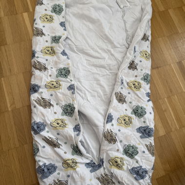 2 x C & A sleeping bag