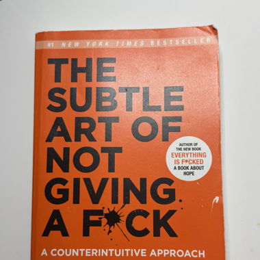 THE SUBTLE ART OF NOT GIVING A F*CK - Mark Manson