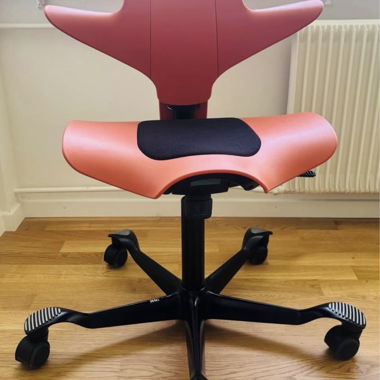 Designer HAG Capisco 8010 Office Swivel Chair