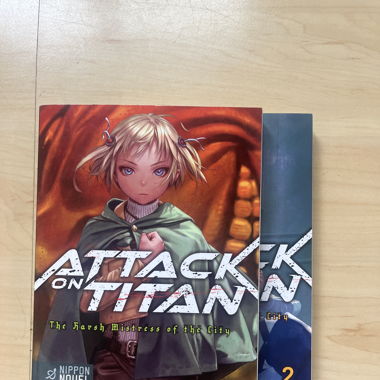Attack on Titan The harsh mistress of the City