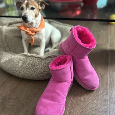 Pink UGG ankle boots with faux fur lining