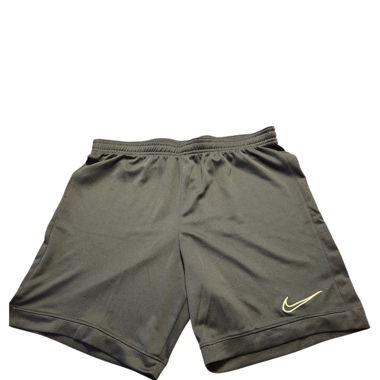 Nike Shorts (Dri-Fit)