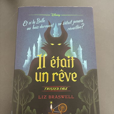 Book It Was a Dream 