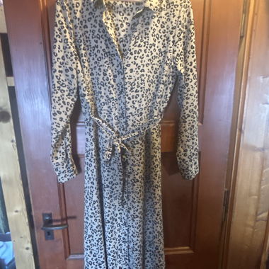 Leopard Print Shirt Dress