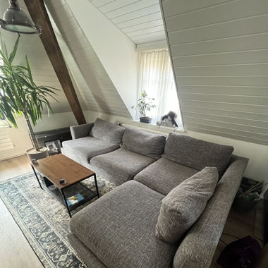 Sofa grau mit Kissen