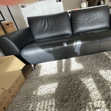 Rolf Benz Ledersofa