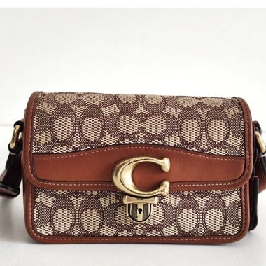 COACH Tabby Signature Bag