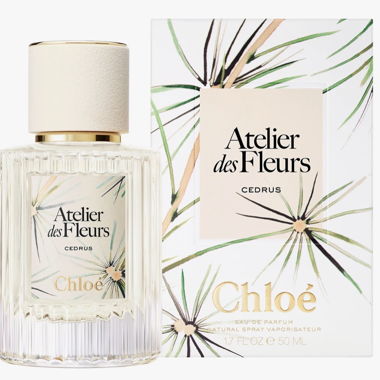NEUF CHLOÉ  ATELIER de Flauer CÈDRUS 50 ml