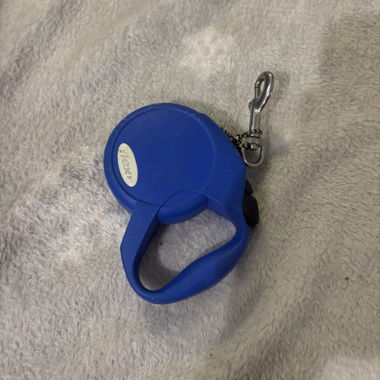 Set of accessories for small dog