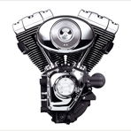 Burgman