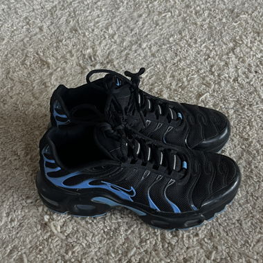 Nike Air Max Plus Schuhe