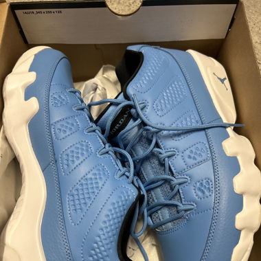 Air Jordan 9 Low Pantone
