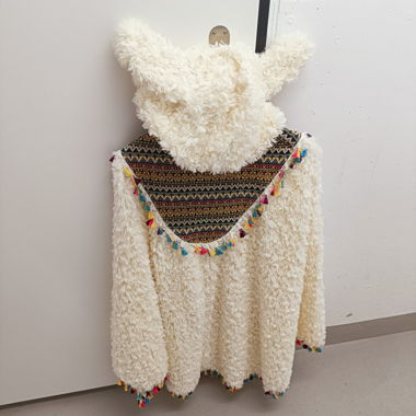 Plush Hooded Sweatshirt