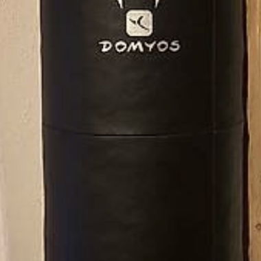 Pallone da boxe, Domyos