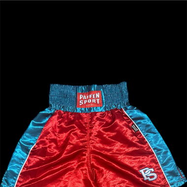 Thaibox Shorts