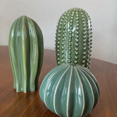Decorazione cactus in ceramica