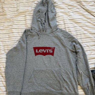 Felpa con cappuccio Levi's grigia