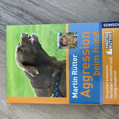 Martin Rütter: Aggression beim Hund
