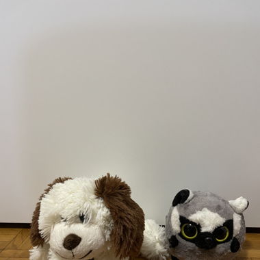 Peluche 2 pezzi