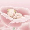 canelle_088