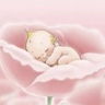 canelle_088