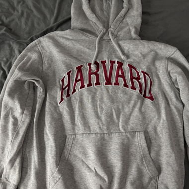 Harvard Hoodie grau